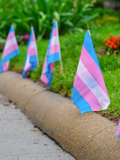 Trans flags on a lawn