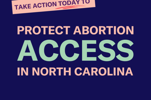 Protect Abortion Access