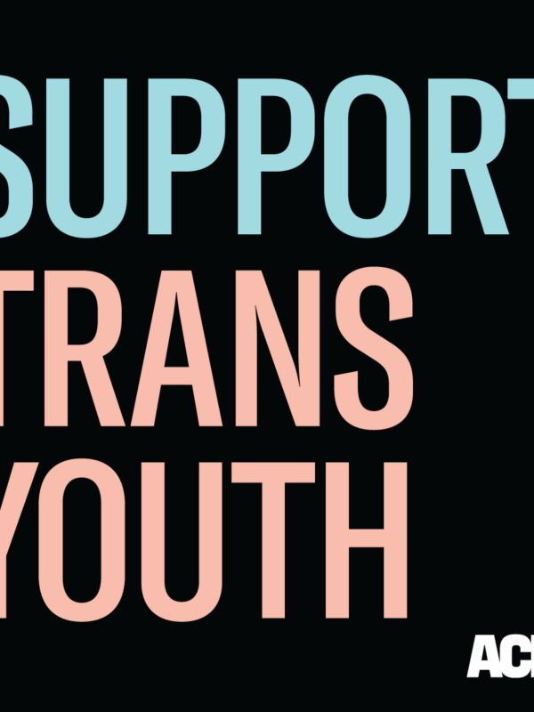 Graphic that says "SUPPORT TRANS YOUTH"