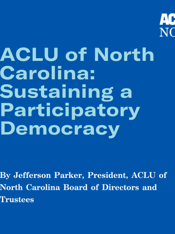 Sustaining a Participatory Democracy