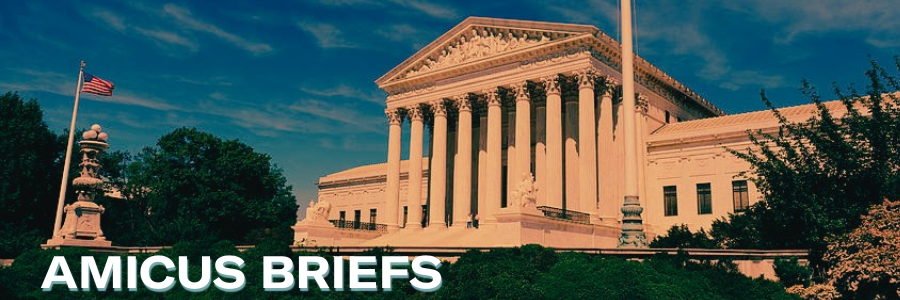 Amicus Briefs