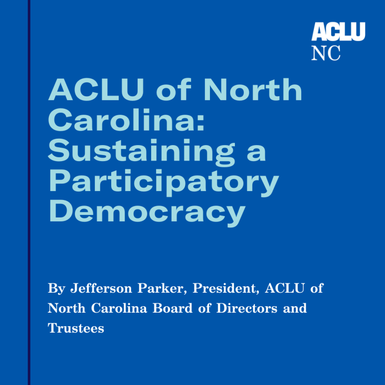 Sustaining a Participatory Democracy