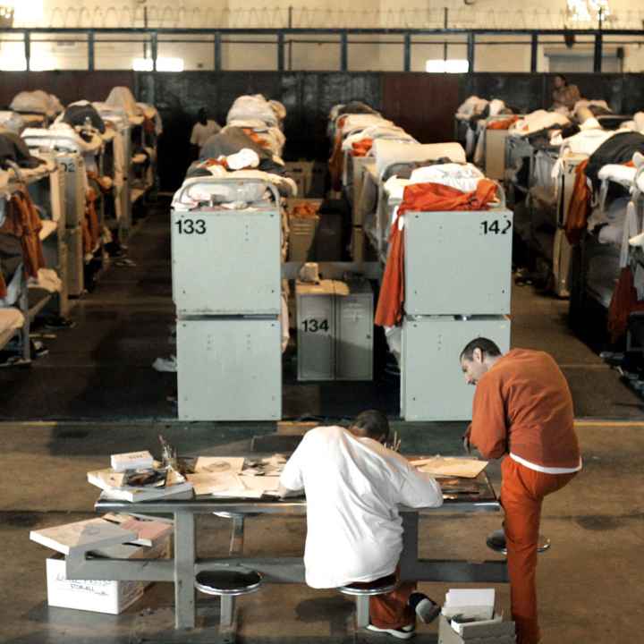 Incarcerated people lying in rows of prison bunk beds.