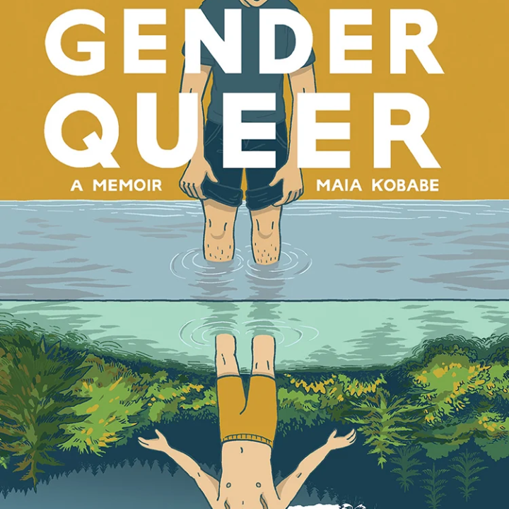 Gender Queer memoir cover art