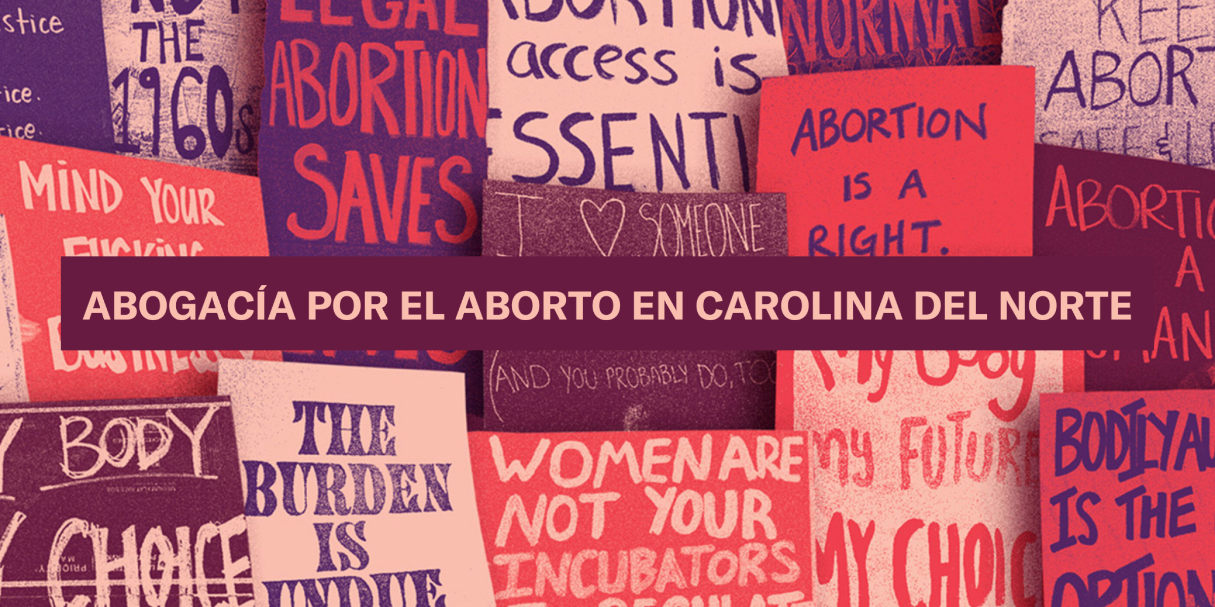 Abogacia Por El Aborto En Carolina Del Norte