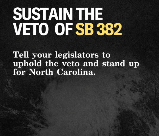 ACTION Sustain Veto S382