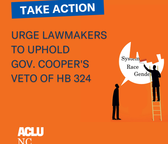 Uphold the veto of HB 324