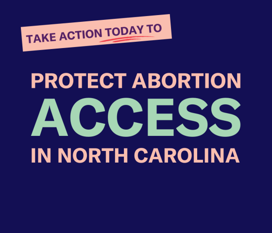 Protect Abortion Access